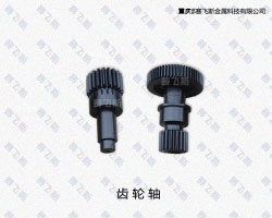 四川齒輪軸QPQ表面處理
